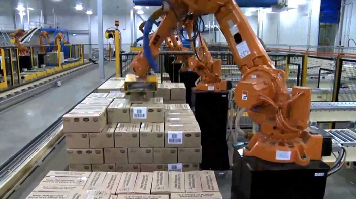 Robotic Case Palletizer